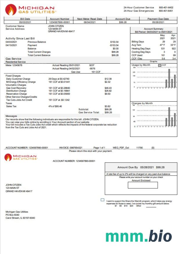 USA Michigan Gas Utilities rachunek za media szablon w formacie Word i PDF Wersja 2